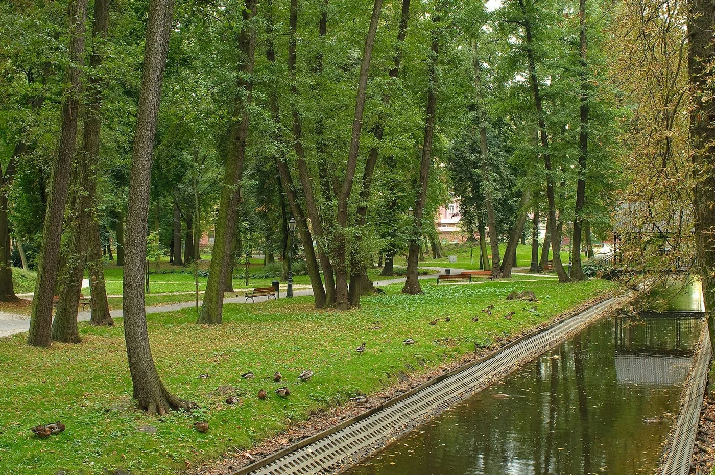 Park im. Karola Dittricha w Żyrardowie